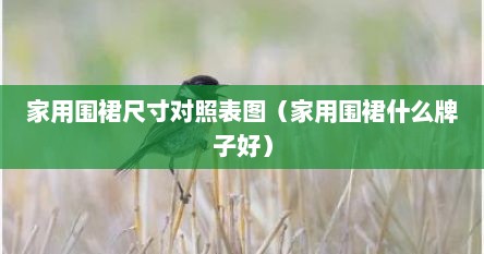 家用围裙尺寸对照表图（家用围裙什么牌子好）