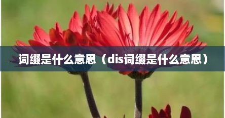词缀是什么意思（dis词缀是什么意思）