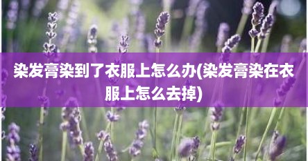 染发膏染到了衣服上怎么办(染发膏染在衣服上怎么去掉)