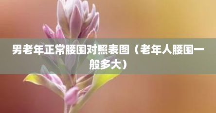 老年人身高体重腰围对照表（中老年男人腰围多少正常）