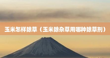 玉米怎样除草（玉米除杂草用哪种除草剂）