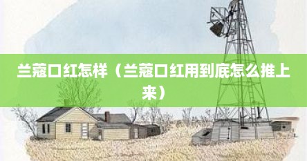 兰蔻口红怎样（兰蔻口红用到底怎么推上来）