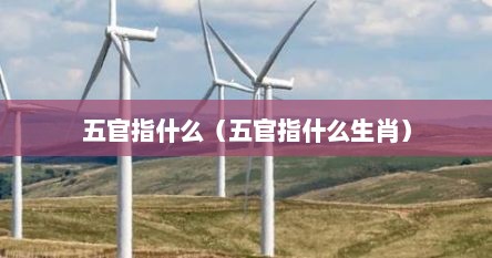 五官对应生肖（五官的生肖有哪些）