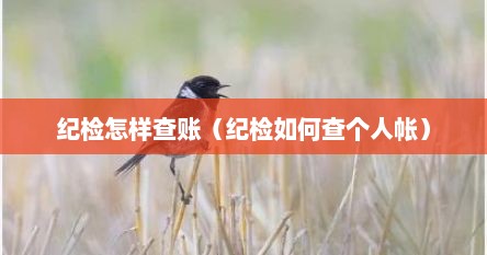 纪检怎样查账（纪检如何查个人帐）