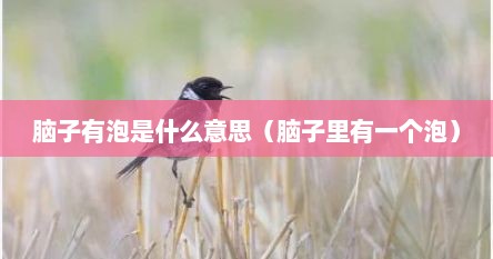 脑子有泡是什么意思（脑子里有一个泡）