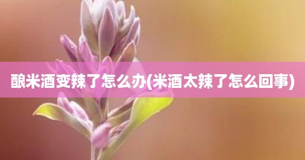 酿米酒变辣了怎么办(米酒太辣了怎么回事)