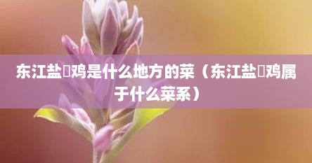 东江盐焗鸡做法（东江盐焗鸡的制作方法）