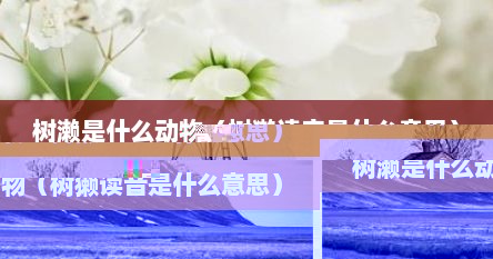 树濑是什么动物（树獭读音是什么意思）