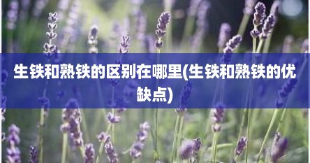 生铁和熟铁的区别在哪里(生铁和熟铁的优缺点)
