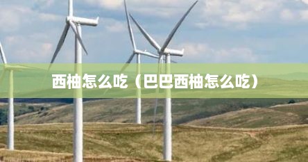 西柚怎么吃（巴巴西柚怎么吃）