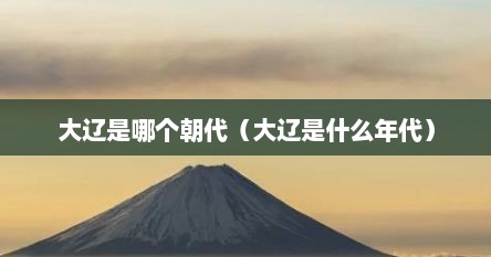 大辽是哪个朝代（大辽是什么年代）