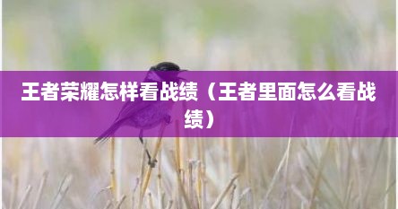 王者荣耀怎样看战绩（王者里面怎么看战绩）