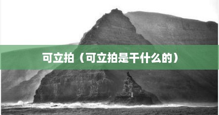 可立拍（可立拍是干什么的）