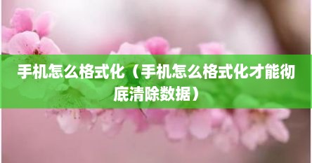 手机怎么格式化（手机怎么格式化才能彻底清除数据）