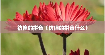 彷徨的拼音（彷徨的拼音什么）