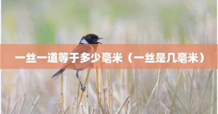 一丝一道等于多少毫米（一丝是几毫米）