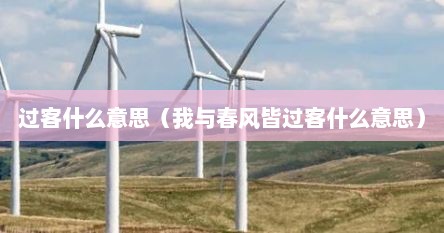 过客什么意思（我与春风皆过客什么意思）