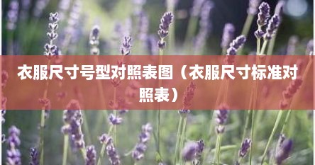 衣服尺寸号型对照表图（衣服尺寸标准对照表）