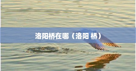 洛阳桥在哪（洛阳 桥）