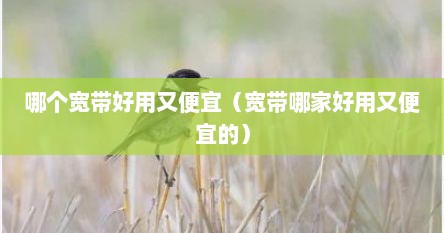 哪个宽带好用文便宜（宽带哪家好用文便宜的）