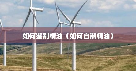 如何鉴别精油（如何自制精油）