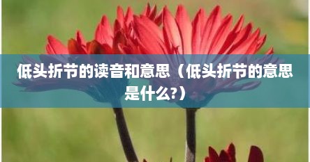 低头折节的读音和意思（低头折节的意思是什么?）