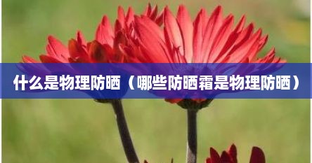 什么是物理防晒（哪些防晒霜是物理防晒）