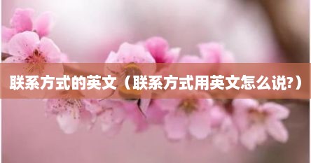 联系方式的英文（联系方式用英文怎么说?）