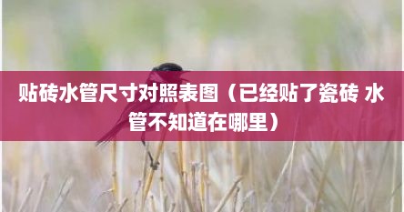 贴砖水管尺寸对照表图（已经贴了瓷砖 水管不知道在哪里）