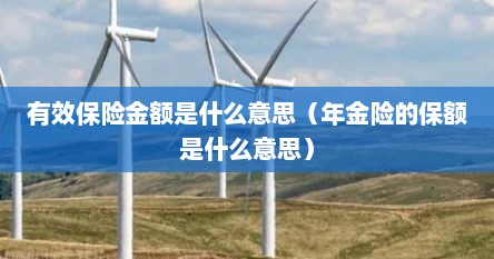 有效保险金额是什么意思（年金险的保额是什么意思）