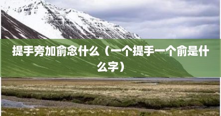 提手旁加俞念什么（一个提手一个俞是什么字）