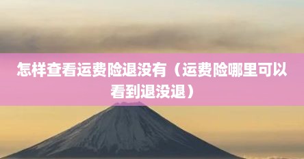 怎样查看运费险退没有（运费险哪里可以看到退没退）