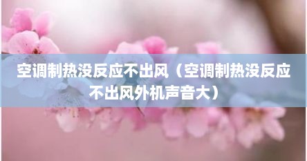 空调制热没反应不出风（空调制热没反应不出风外机声音大）