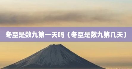 冬至是数九第一天吗（冬至是数九第几天）