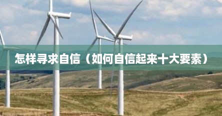 怎样寻求自信（如何自信起来十大要素）