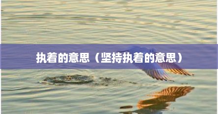 执着的意思（坚持执着的意思）