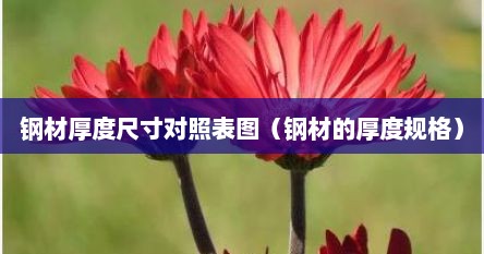 钢材厚度尺寸对照表图（钢材的厚度规格）