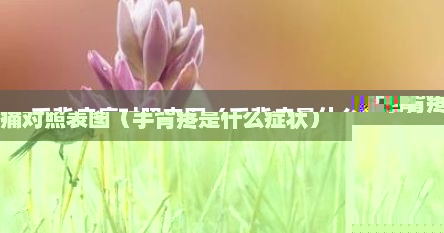 手背痛12种疼痛对照表图解（手背疼痛位置图详解书）
