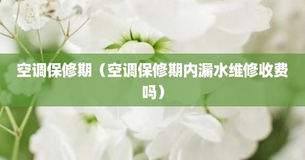空调保修期内保养要收费吗（空调保修期加氟收费吗）