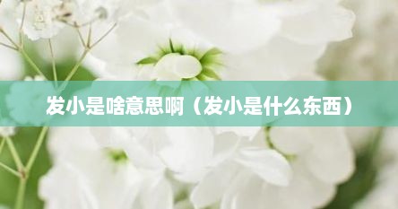 发小是啥意思啊(发小是什么东西)