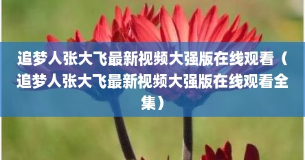 追梦人张大飞最新视频大强版在线观看（追梦人张大飞最新视频大强版在线观看全集）