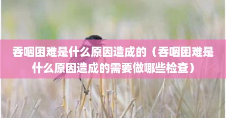 吞咽困难是什么原因造成的（吞咽困难是什么原因造成的需要做哪些检查）