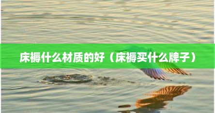 床褥什么材质的好（床褥买什么牌子）