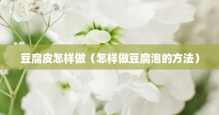 豆腐皮怎样做（怎样做豆腐泡的方法）