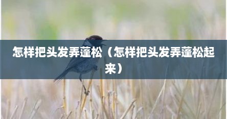 怎样把头发弄蓬松（怎样把头发弄蓬松起来）