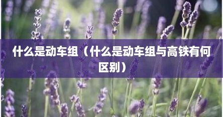 什么是动车组（什么是动车组与高铁有何区别）