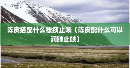 陈皮搭配什么祛痰止咳（陈皮配什么可以润肺止咳）
