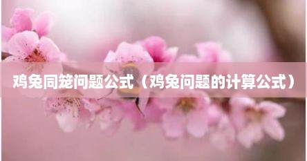 鸡兔同笼问题方程公式（鸡兔同笼问题公式推导过程）