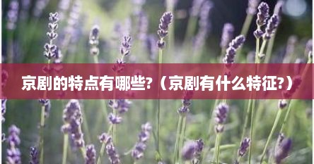 京剧独有特点（京剧简介50字京剧特点）
