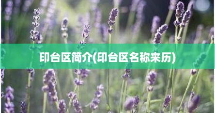 印台区简介(印台区名称来历)